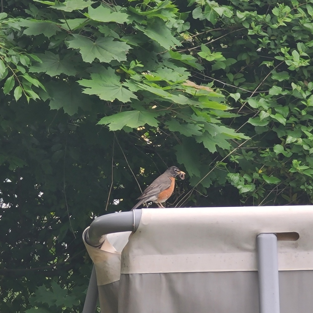 Meet your Posher, Alfonso